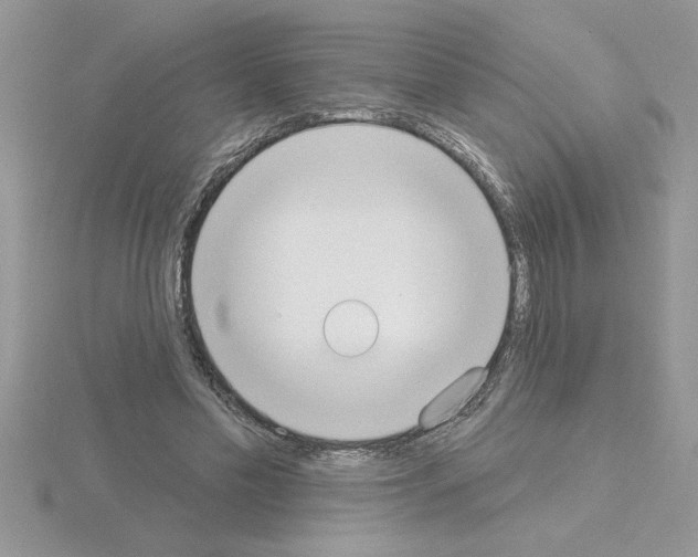 X0000115420589200912151605