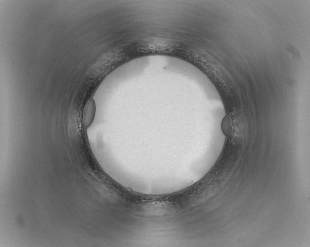 X0000115420593200912151605