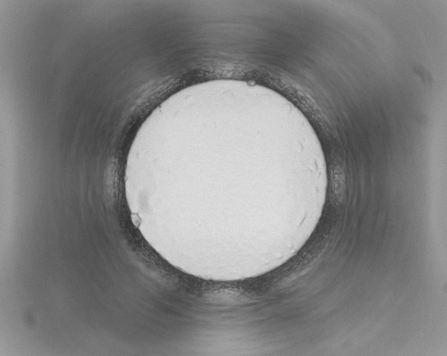 X0000115420594200912151605