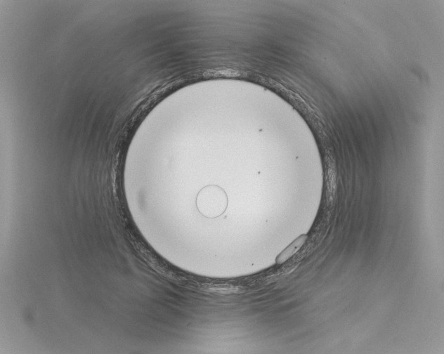 X0000115420595200912151605
