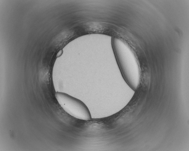 X0000115420597200912151605