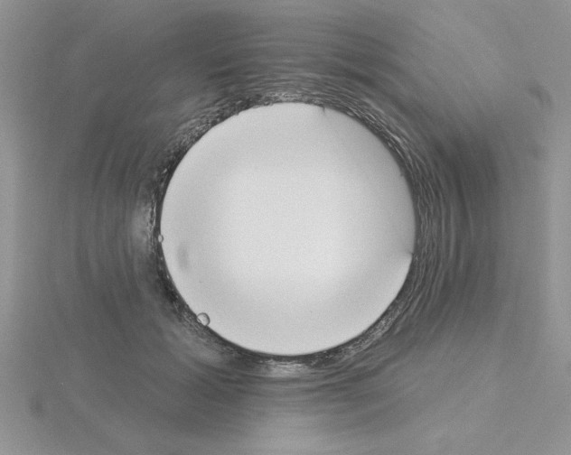 X0000115420605200912151604