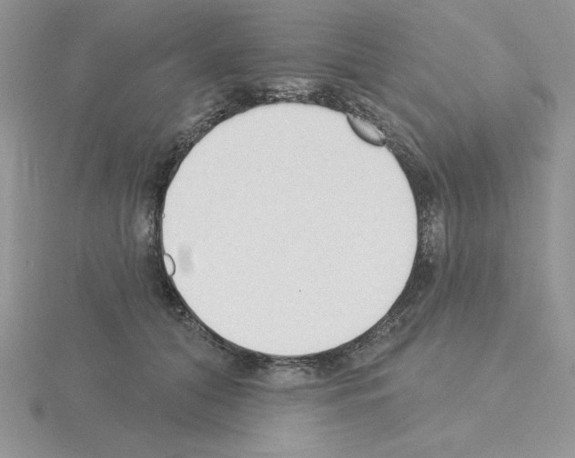 X0000115420608200912151604