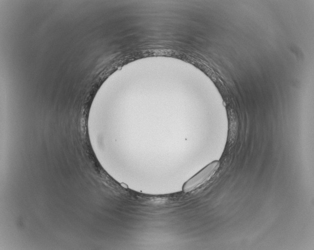 X0000115420609200912151604
