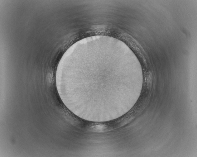 X0000115420610200912151604