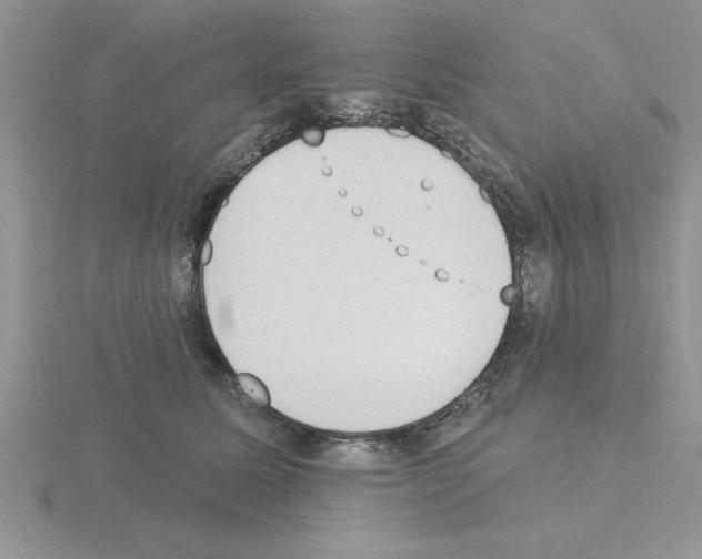 X0000115420611200912151604
