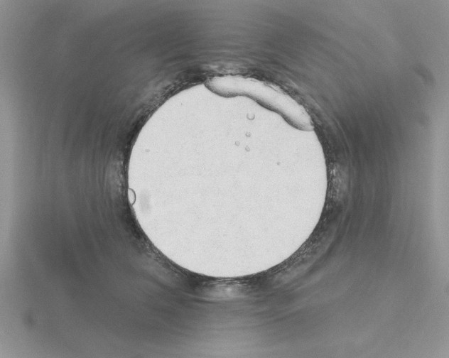 X0000115420612200912151604