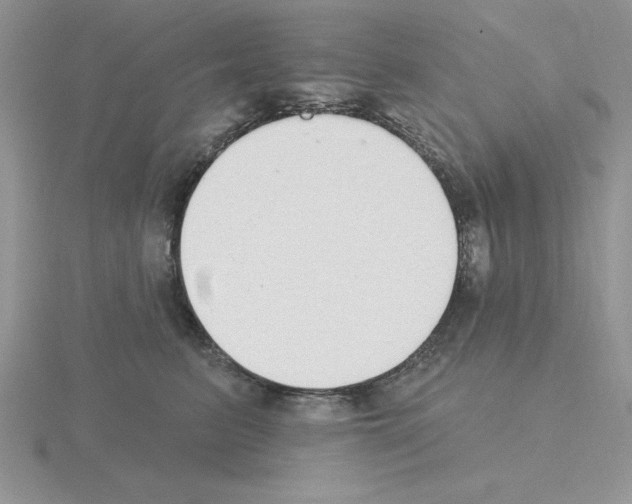 X0000115420615200912151604
