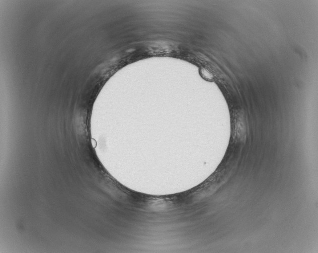 X0000115420616200912151604