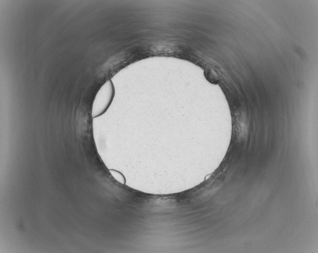 X0000115420619200912151604