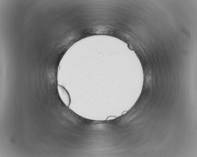 X0000115420620200912151604