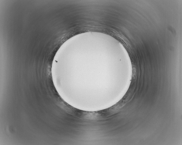 X0000115420621200912151604