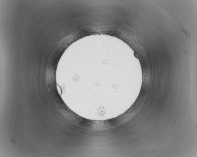 X0000115420623200912151604