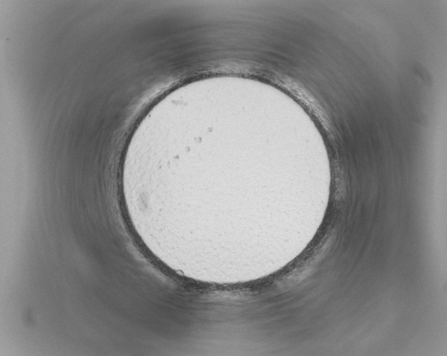 X0000115420625200912151604