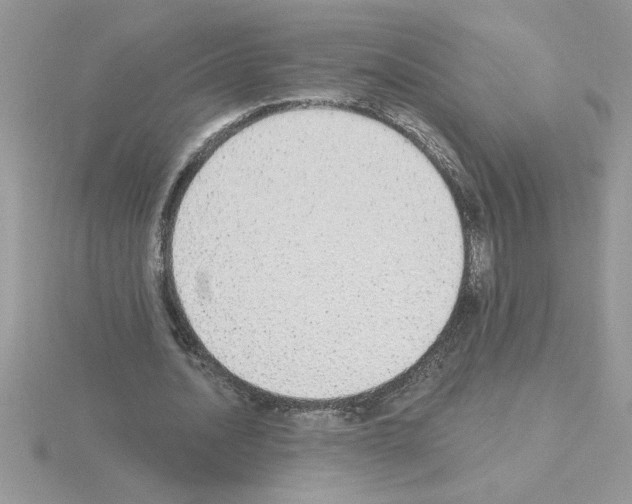 X0000115420628200912151604
