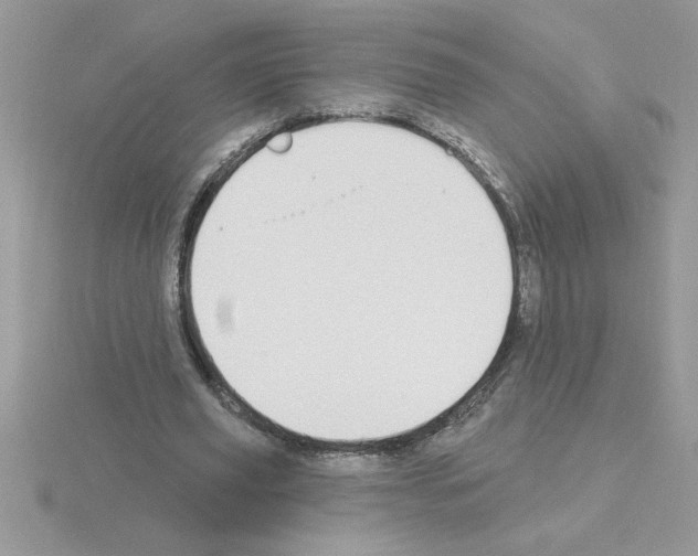 X0000115420629200912151604