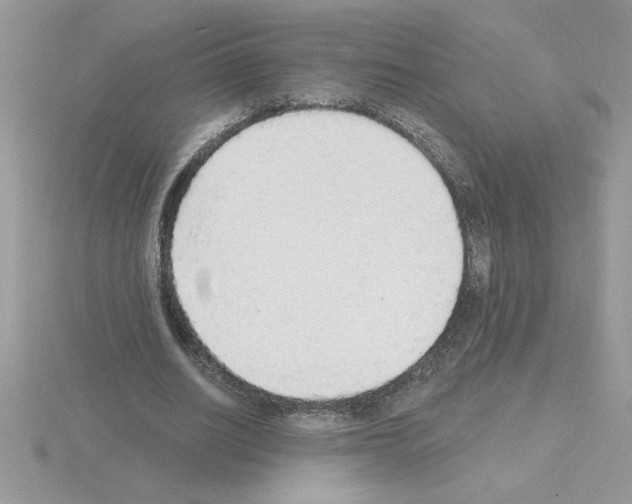 X0000115420630200912151604