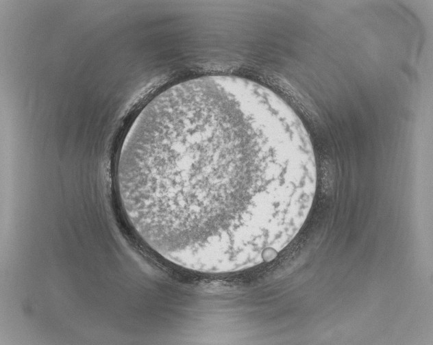 X0000115420634200912151604