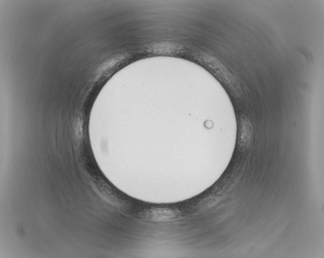 X0000115420636200912151604