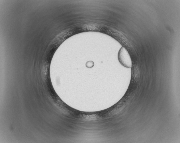 X0000115420645200912151604