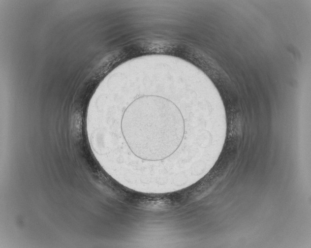 X0000115420646200912151604