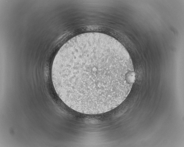 X0000115420648200912151604