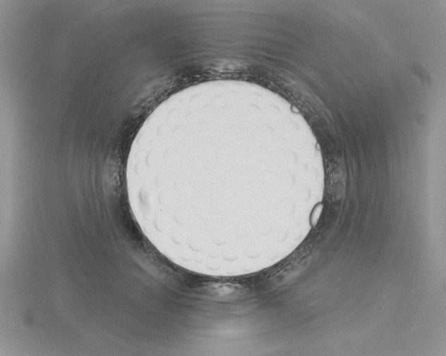 X0000115420654200912151604