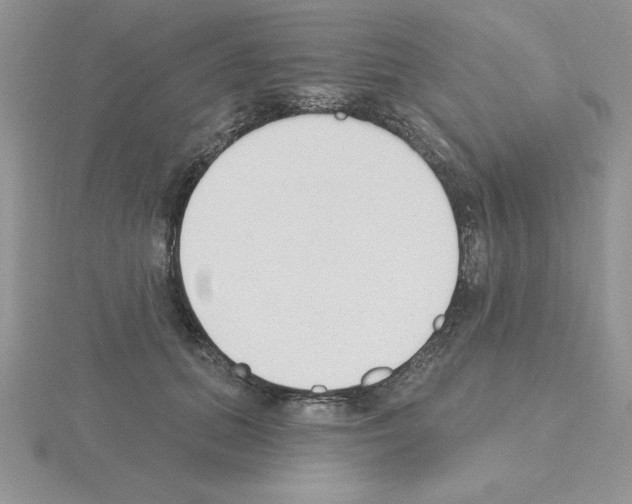 X0000115420655200912151604