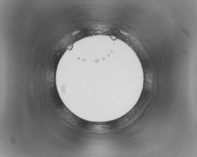 X0000115420657200912151604