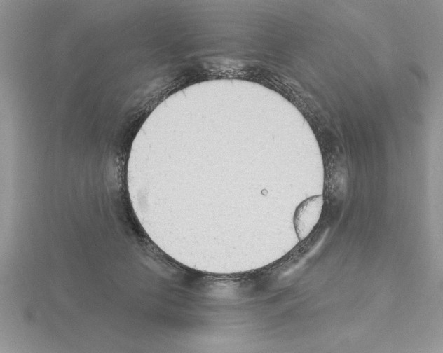 X0000115420658200912151604