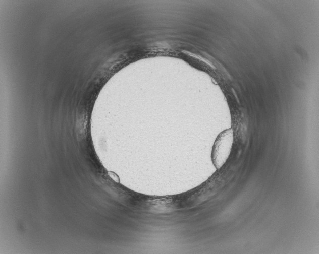 X0000115420660200912151604