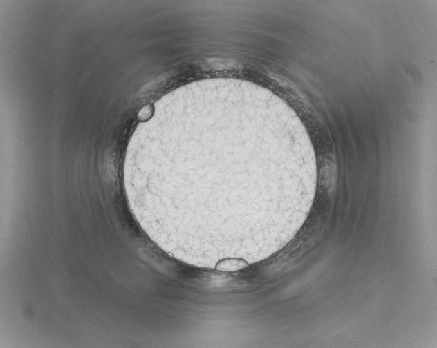 X0000115420662200912151604