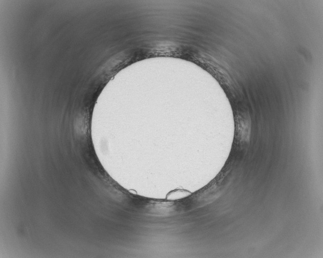 X0000115420665200912151604