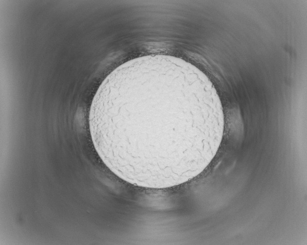 X0000115420667200912151604