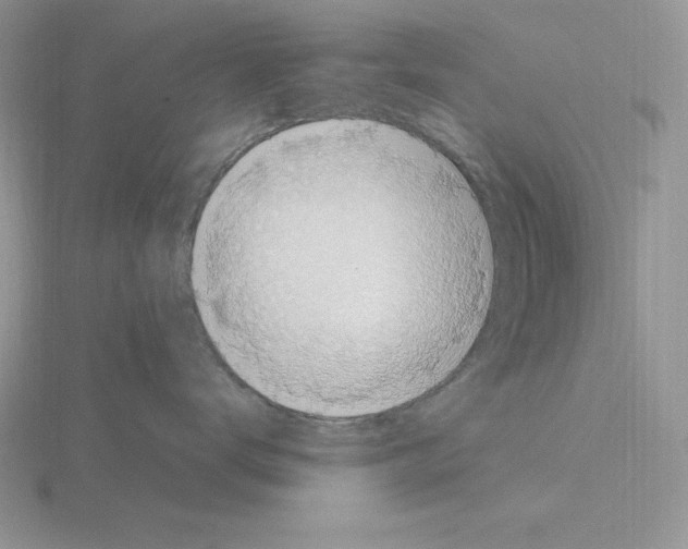 X0000115420672200912151604