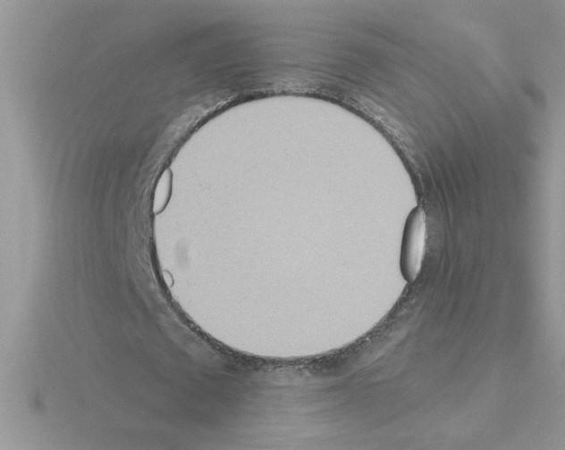 X0000115420673200912151603