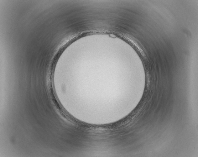 X0000115420677200912151603