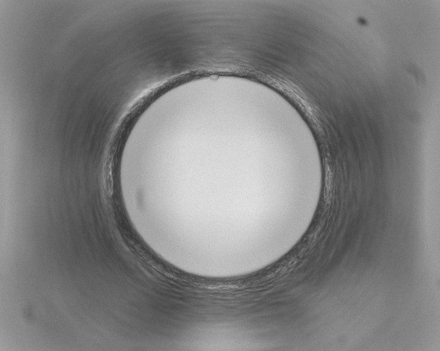 X0000115420680200912151603