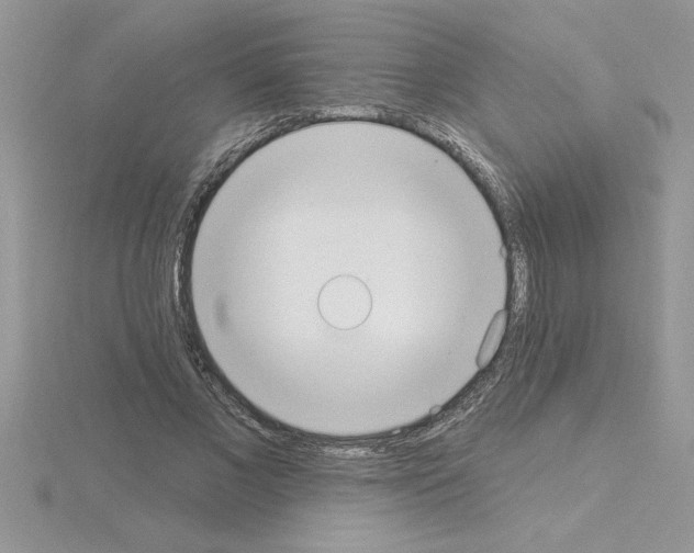 X0000115420685200912151603