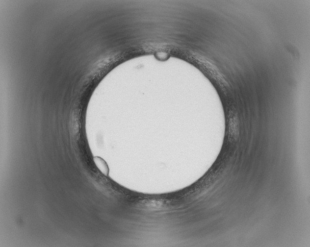 X0000115420687200912151603