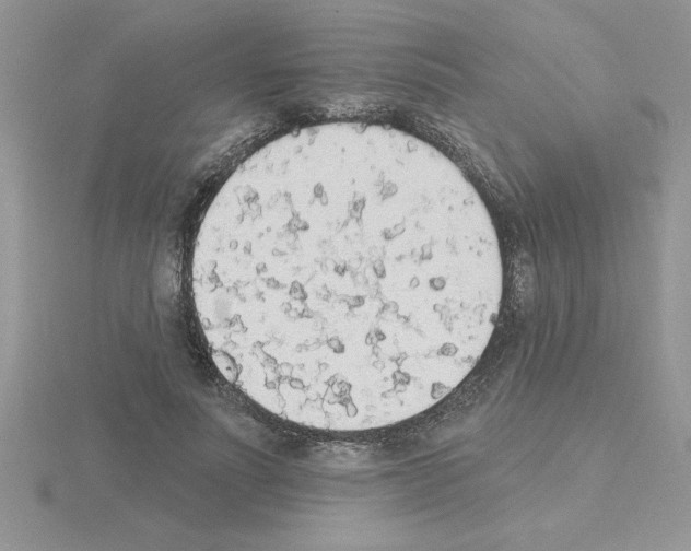 X0000115420691200912151603