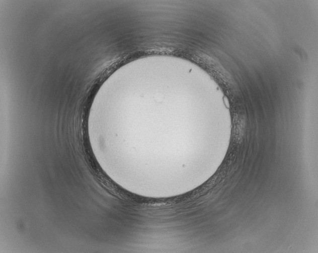 X0000115420692200912151603