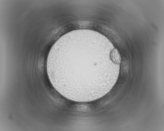 X0000115420698200912151603
