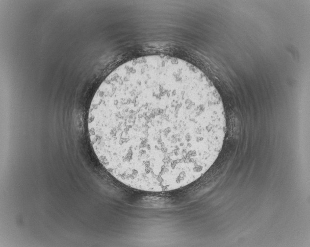 X0000115420699200912151603