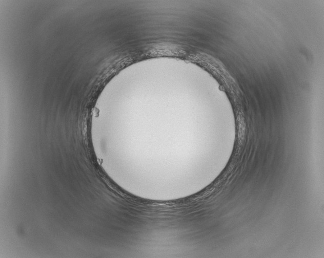 X0000115420701200912151603