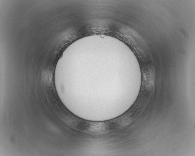 X0000115420705200912151603