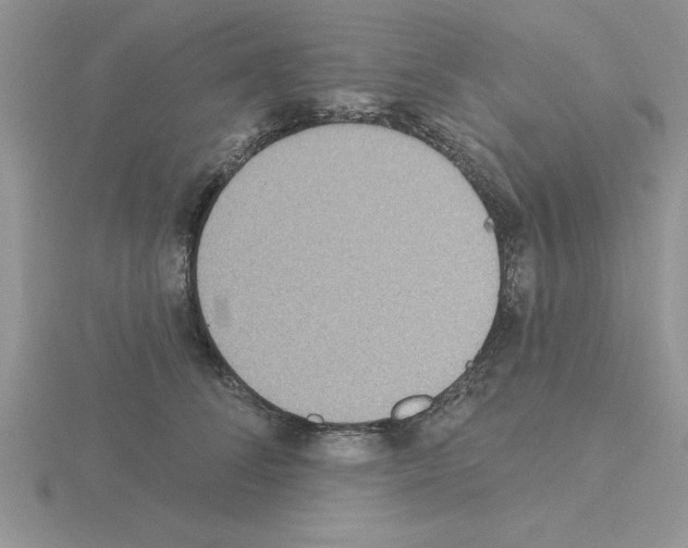X0000115420708200912151603