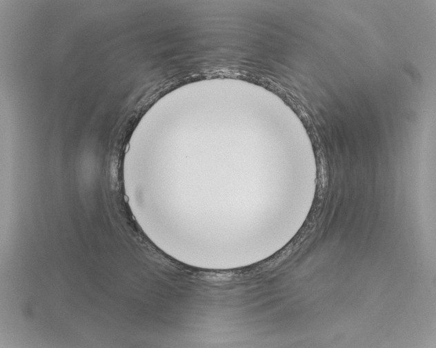 X0000115420709200912151603