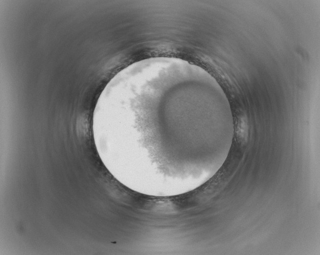 X0000115420715200912151603
