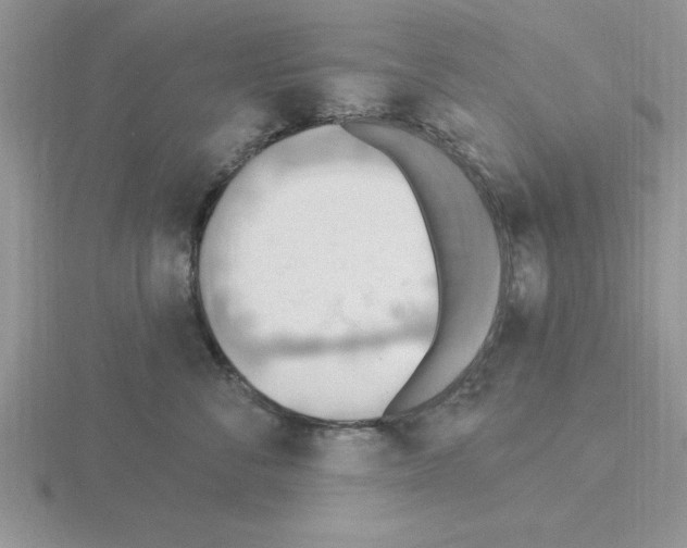 X0000115420716200912151603